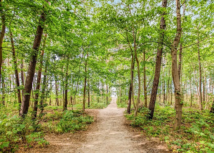 3 Bedroom Gorgeous In Podamirowo